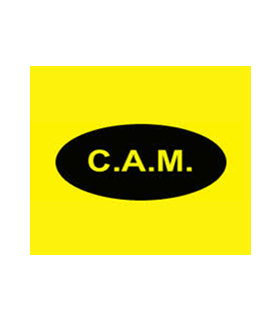 Cam Transfer